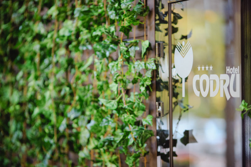 Codru Hotel Chisinau Bagian luar foto
